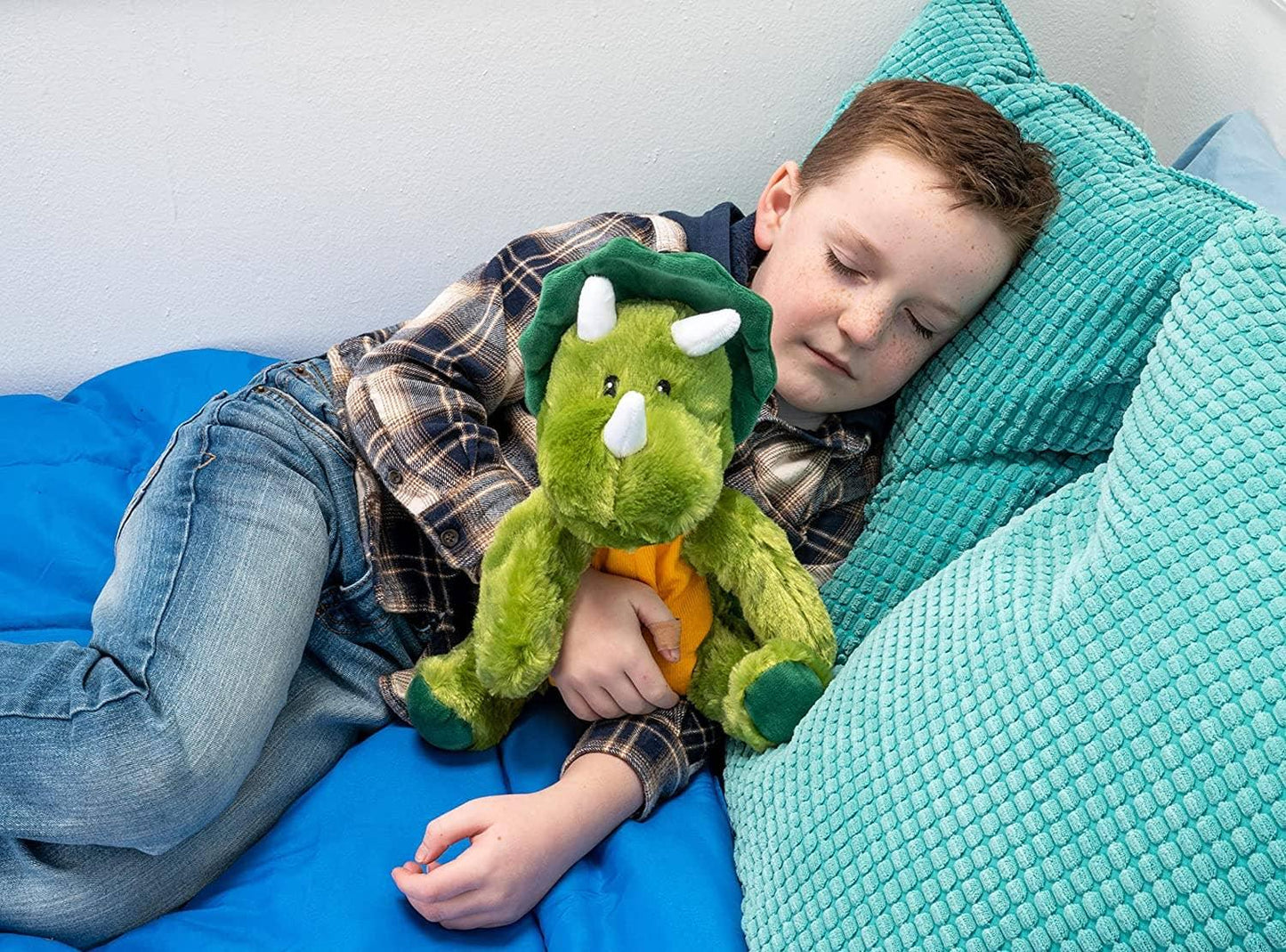 Dinosaur Warm Pal - Simply Graced Mama