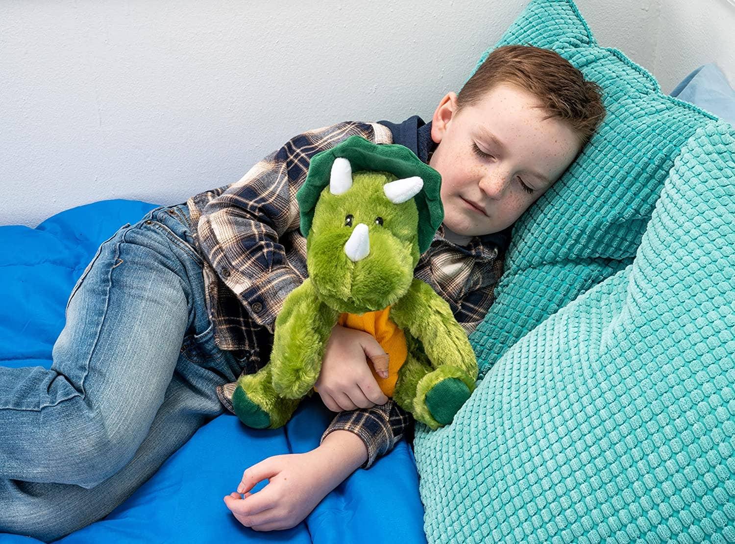 Dinosaur Warm Pal - Simply Graced Mama