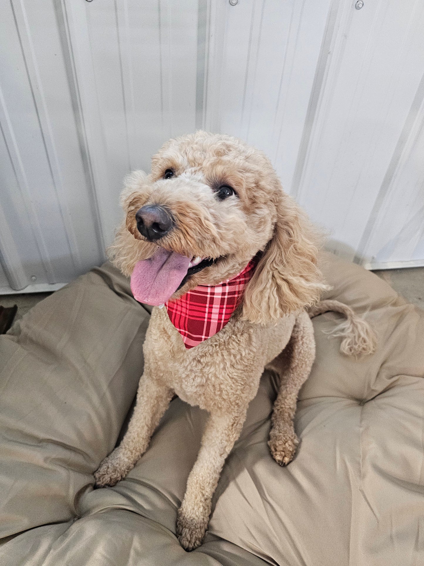 Red Plaid Scrunchie Pet Bandana
