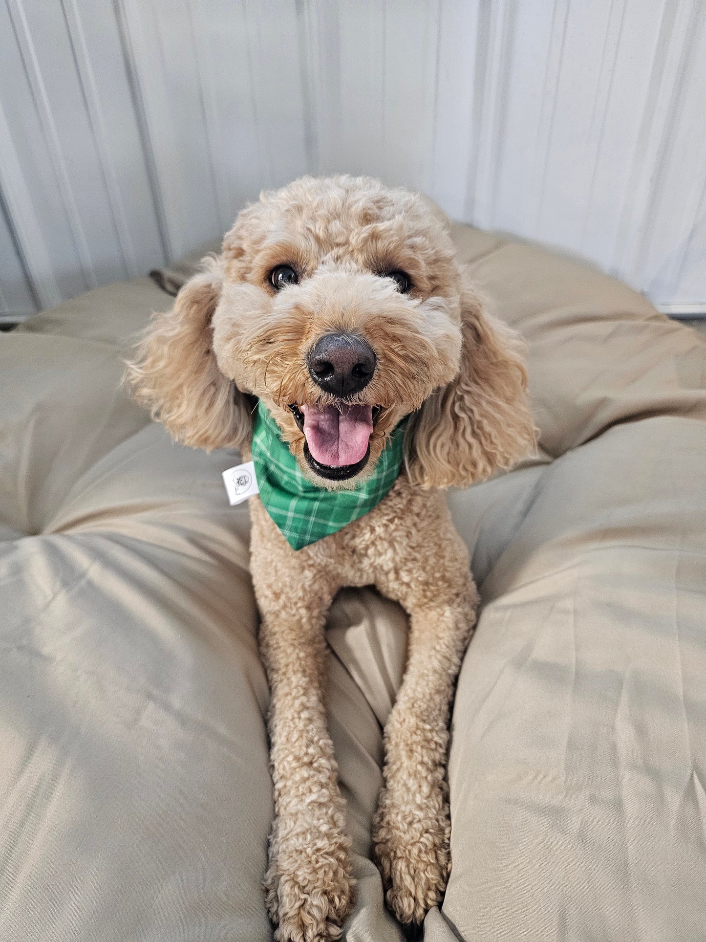 Green Plaid Scrunchie Pet Bandana