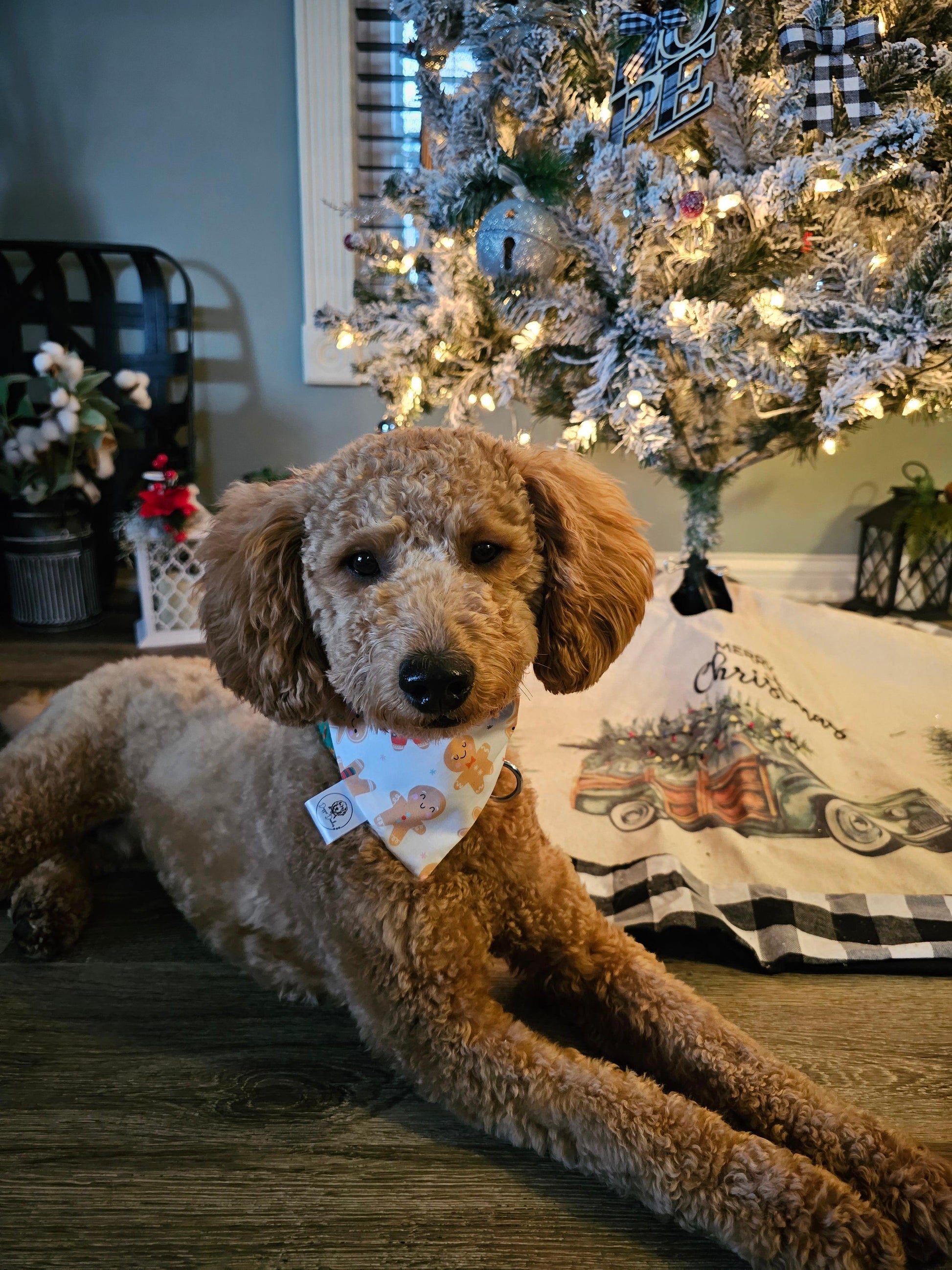 Gingerbread Man Scrunchie Bandana - Simply Graced Mama