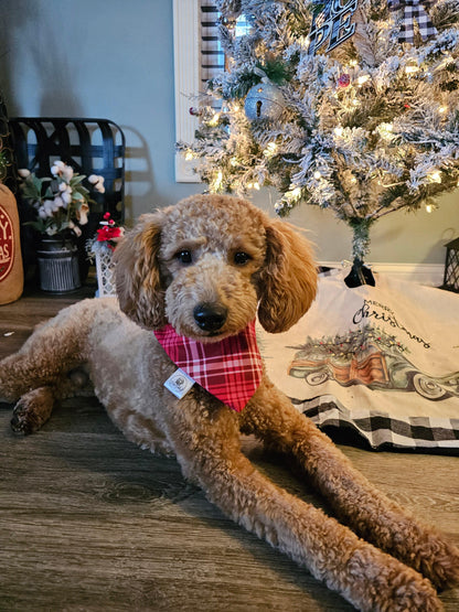 Red Plaid Scrunchie Bandana - Simply Graced Mama