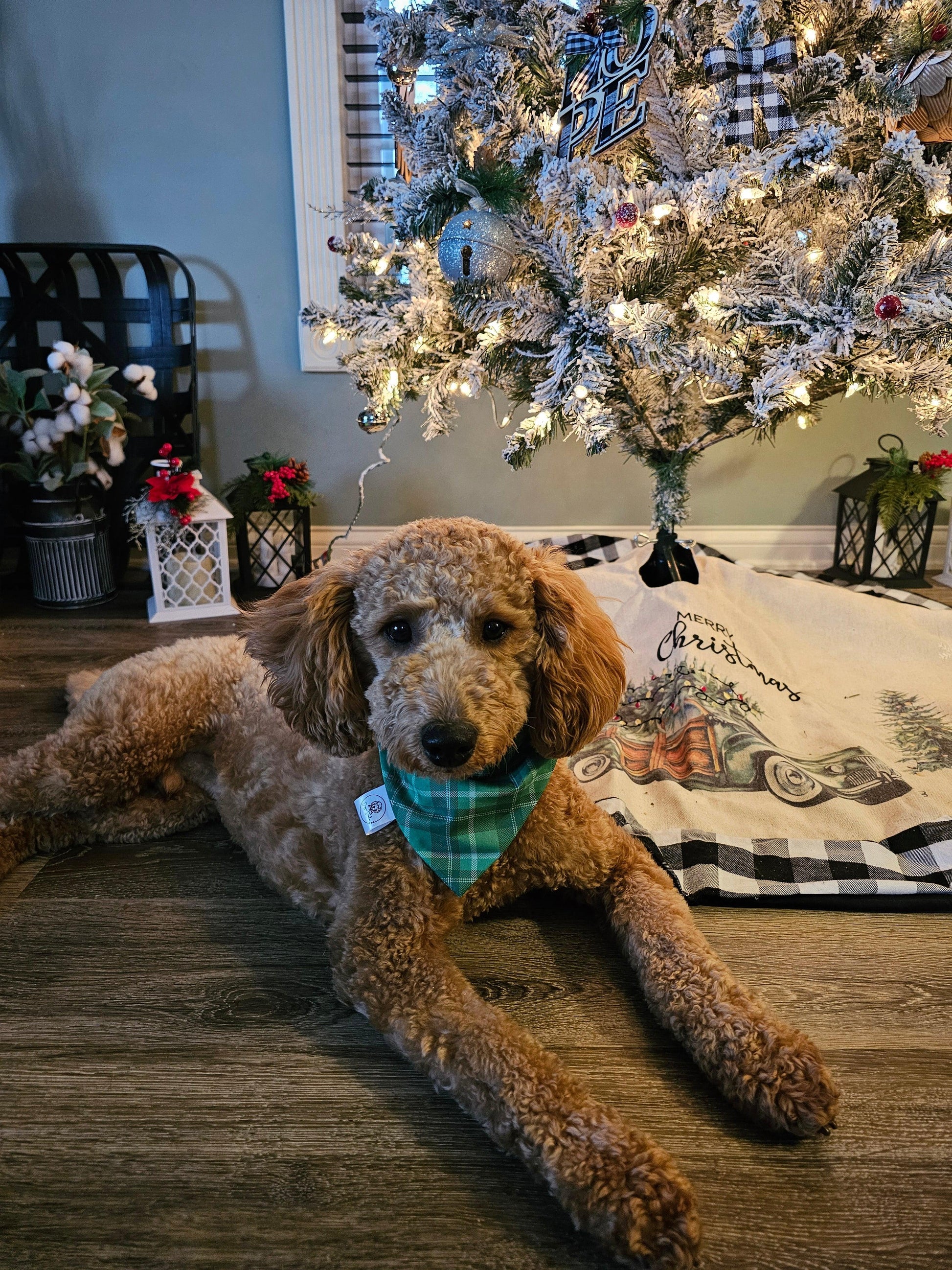 Green Plaid Scrunchie Bandana - Simply Graced Mama