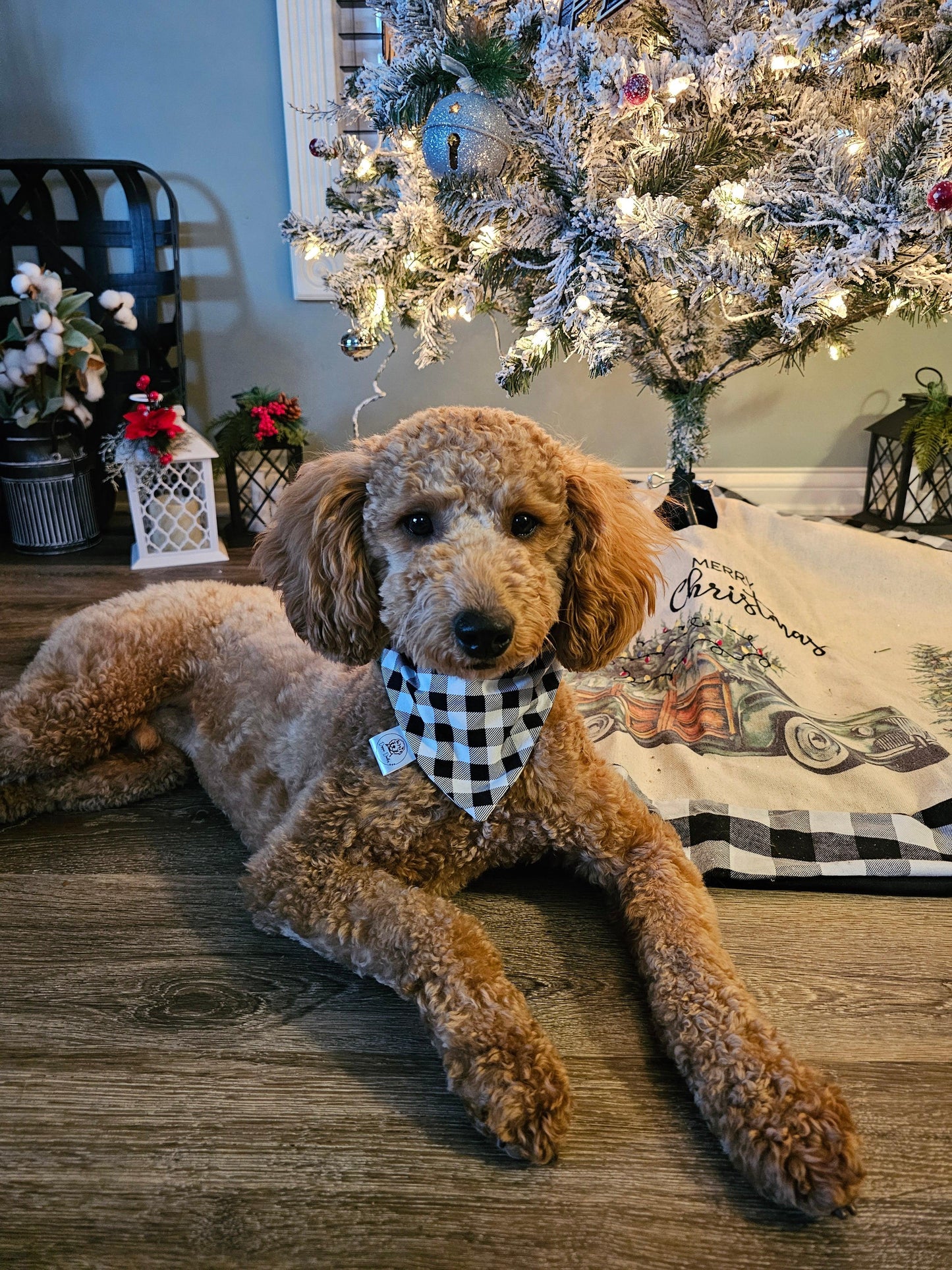 Black & White Plaid Scrunchie Bandana - Simply Graced Mama