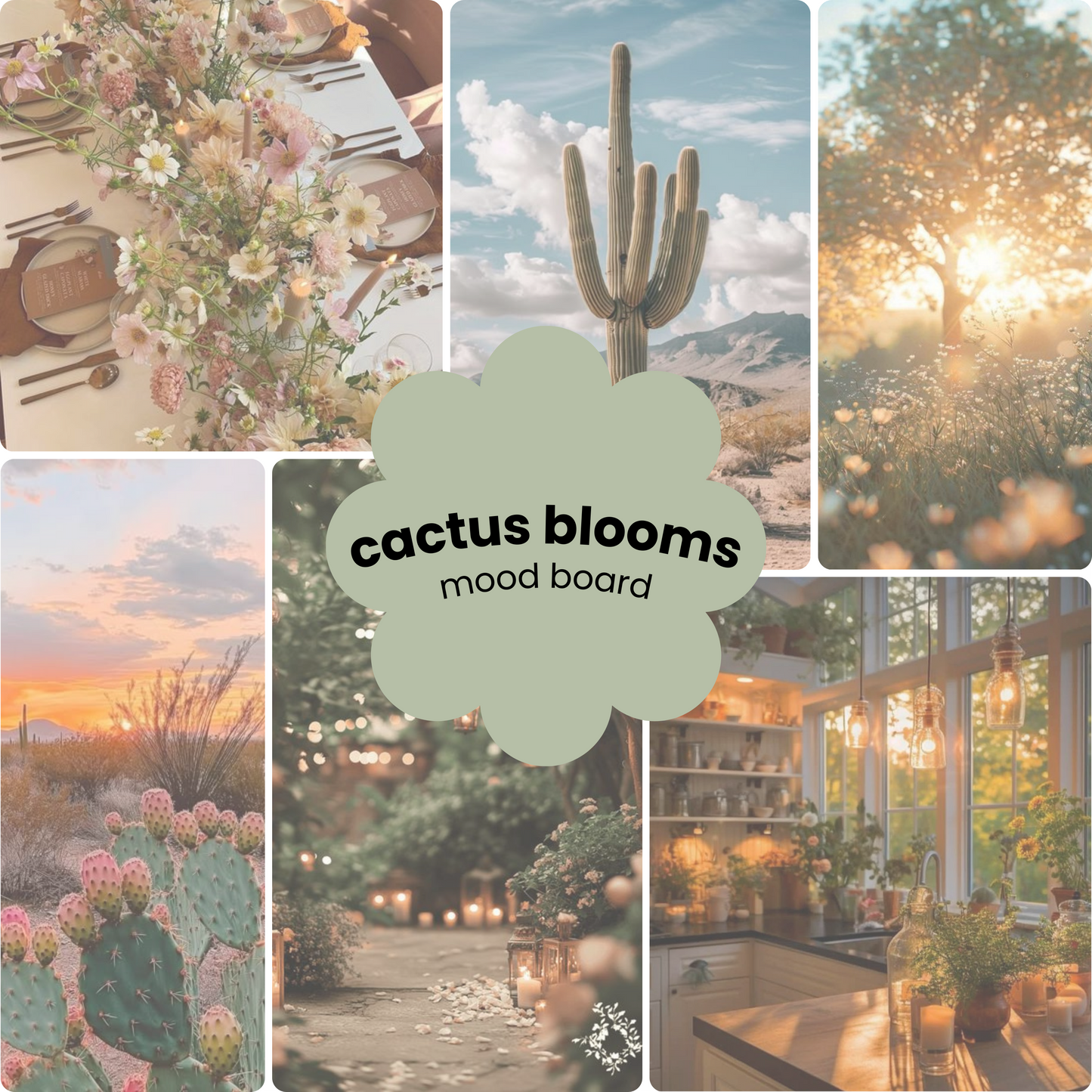 Cactus blooms | travel perfume mist