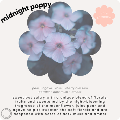 Midnight poppy | eau de parfum | perfume collection