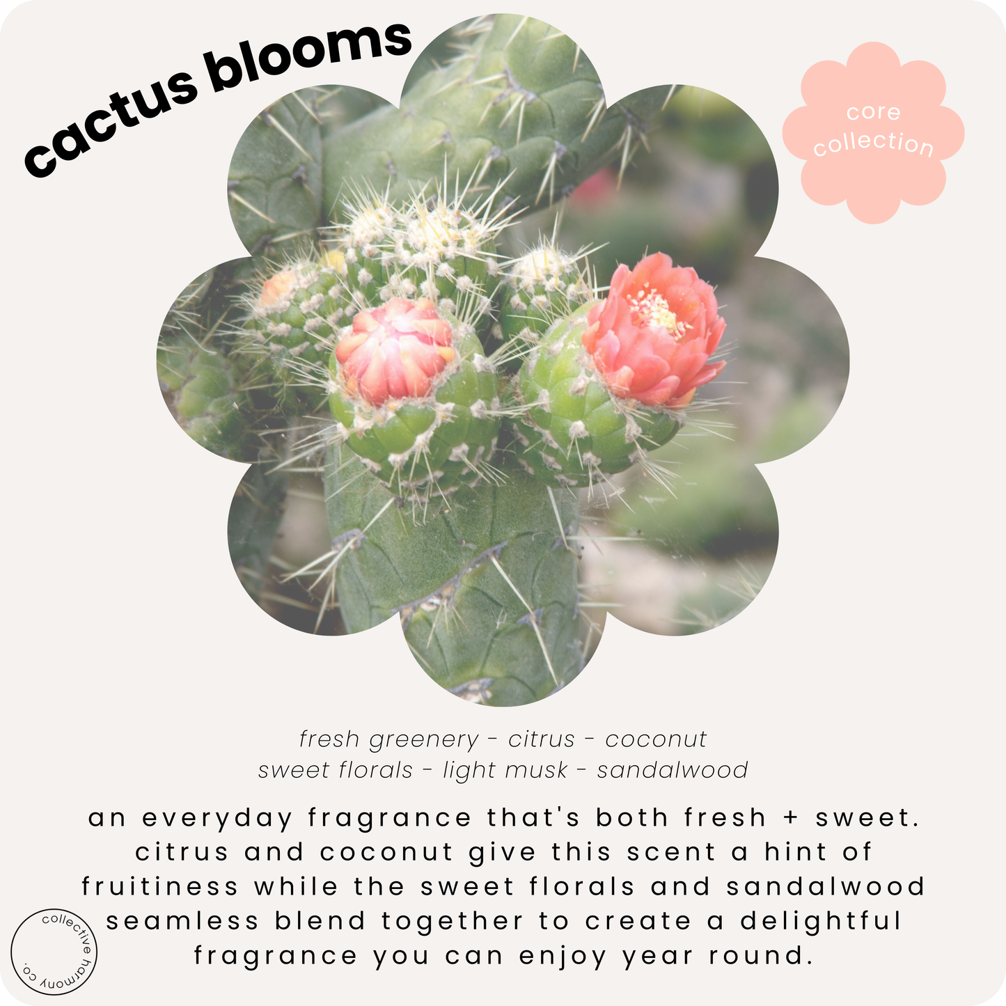 Cactus blooms | travel perfume mist