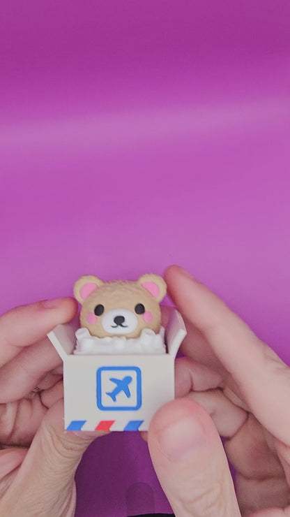 Bear Mailer Clicker Fidget