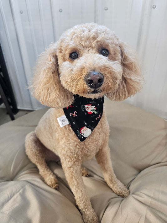Santa Claus Scrunchie Pet Bandana