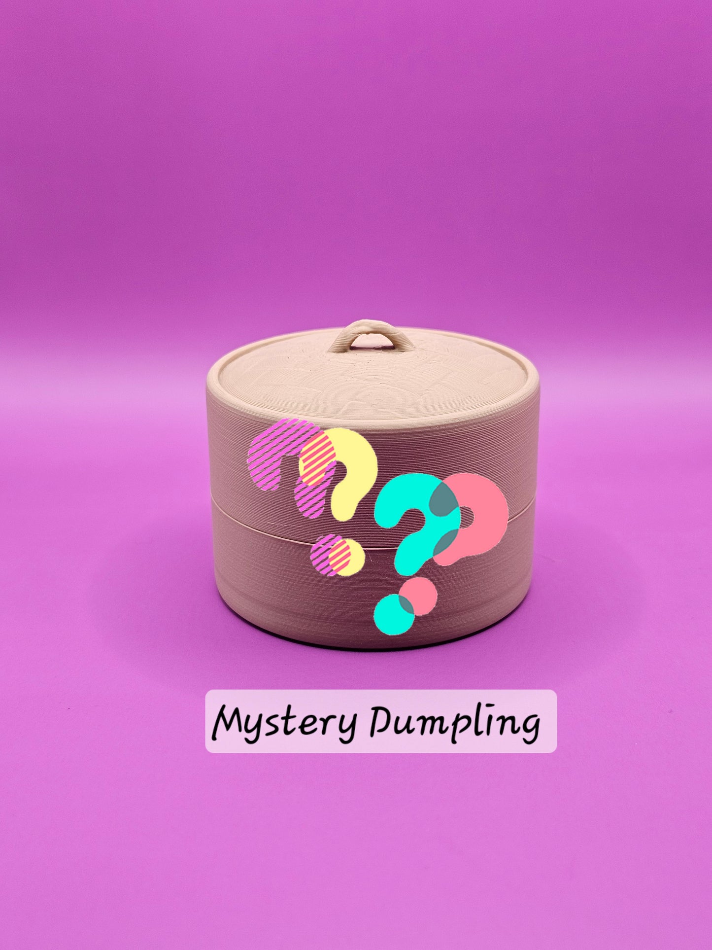 Mini Mystery Clicker Dumpling Fidget