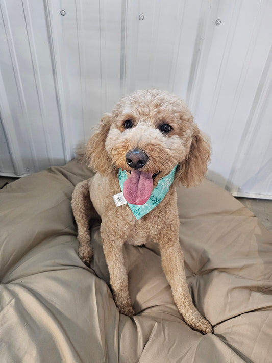 Winter Wonderland Scrunchie Pet Bandana