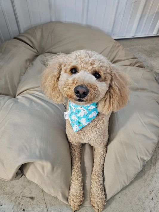 Bunny Scrunchie Pet Bandana