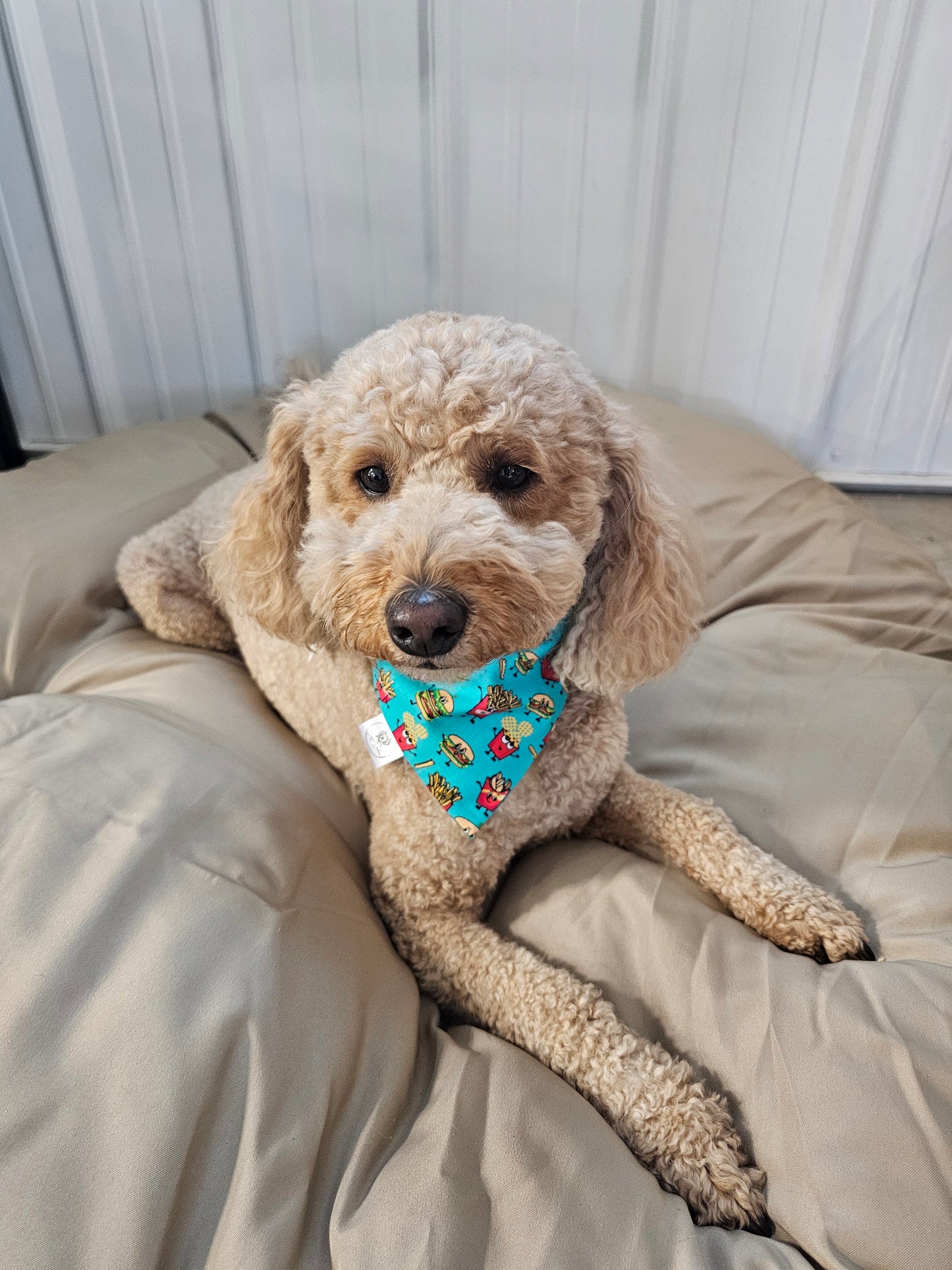 Burger & Fries Scrunchie Pet Bandana