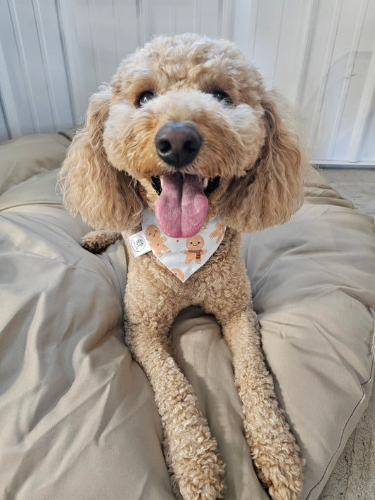 Gingerbread Man Scrunchie Pet Bandana