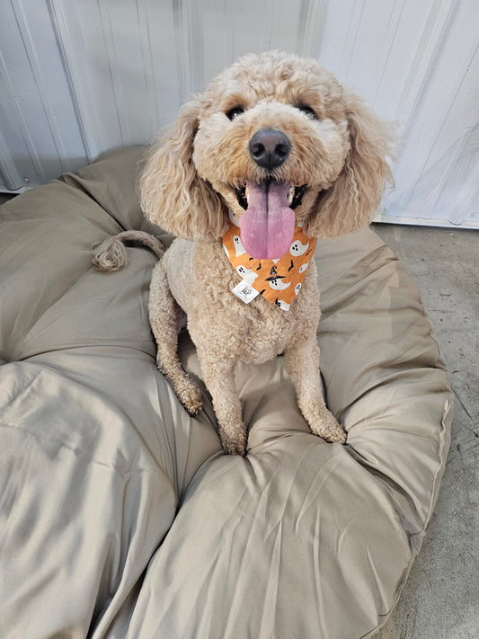 Ghostie Scrunchie Pet Bandana