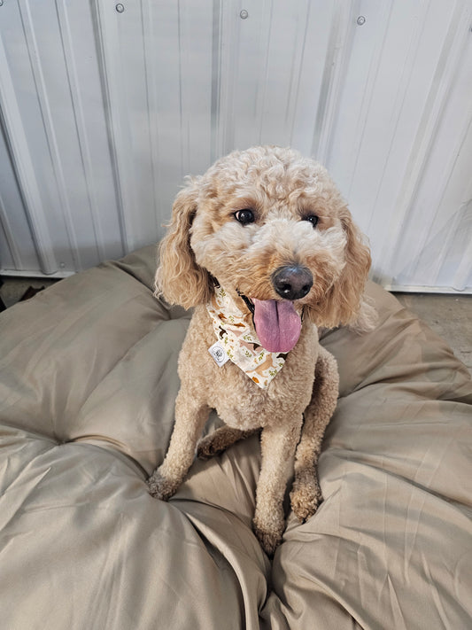 Puppy Love Scrunchie Pet Bandana