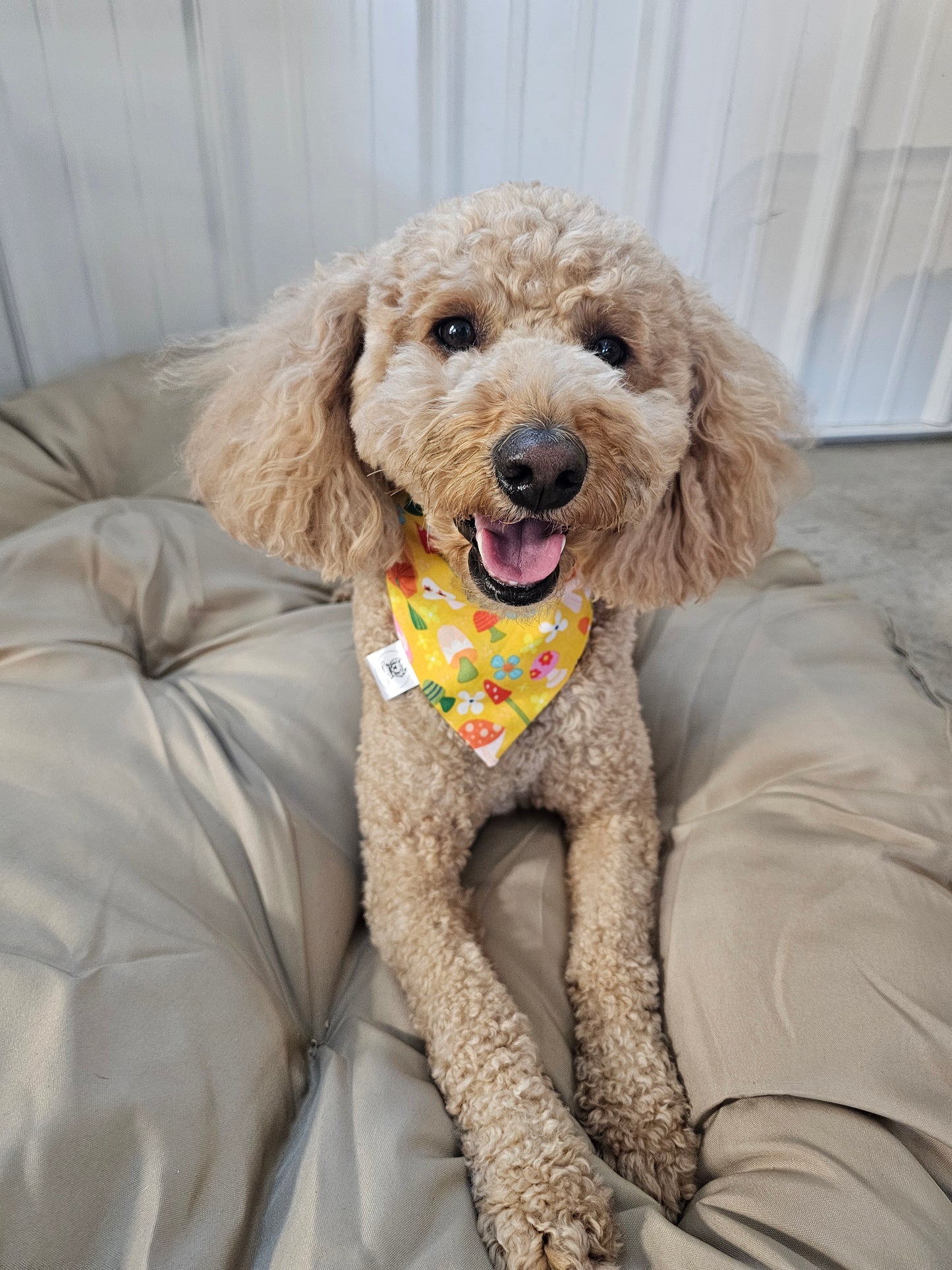 Floral Mushroom Scrunchie Pet Bandana