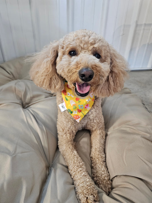 Floral Mushroom Scrunchie Pet Bandana