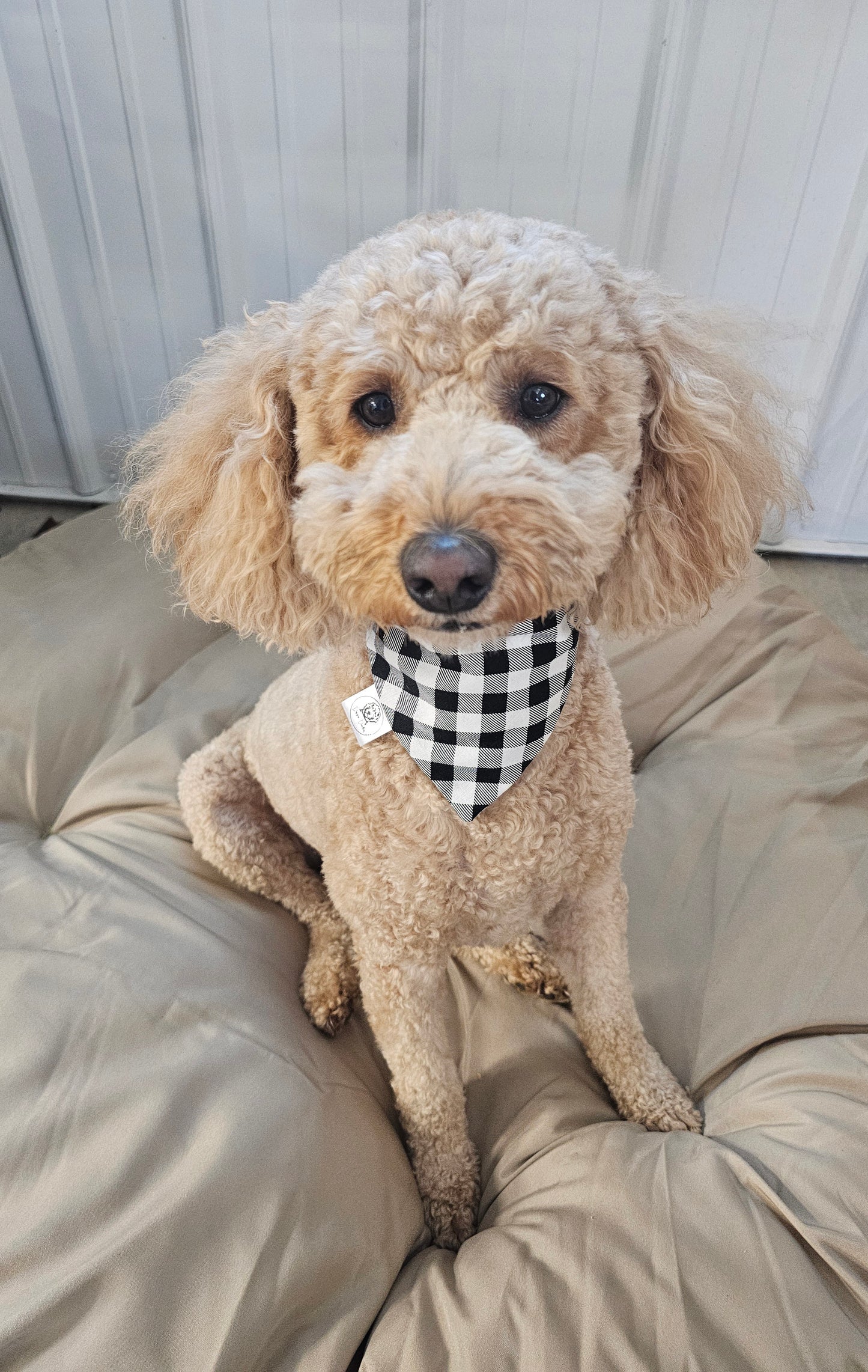 Black & White Plaid Scrunchie Pet Bandana