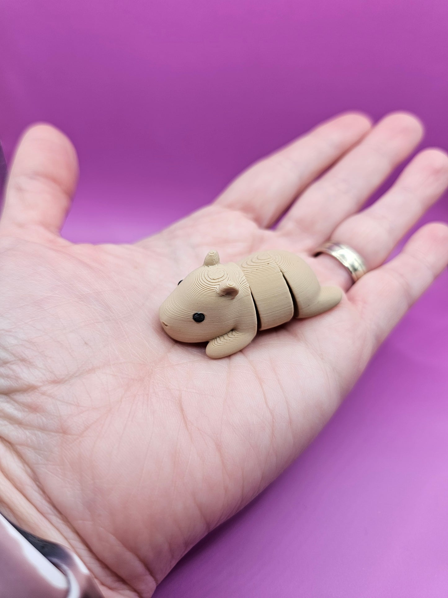 Mini Capybara Fidget