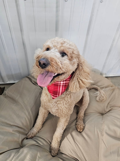 Red Plaid Scrunchie Pet Bandana
