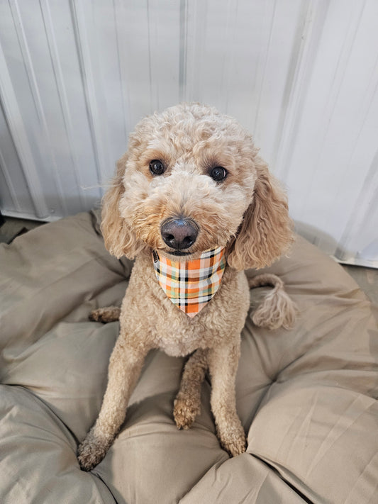Glow in the Dark Fall Plaid Scrunchie Pet Bandana