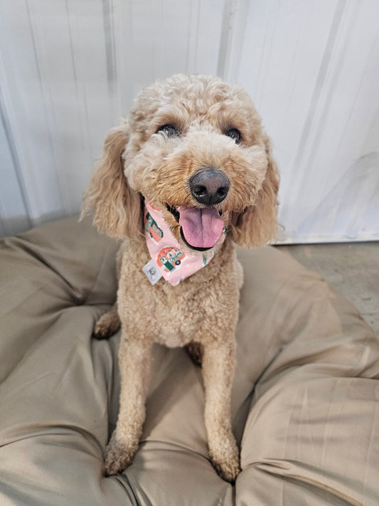 Snowy Camper Scrunchie Pet Bandana