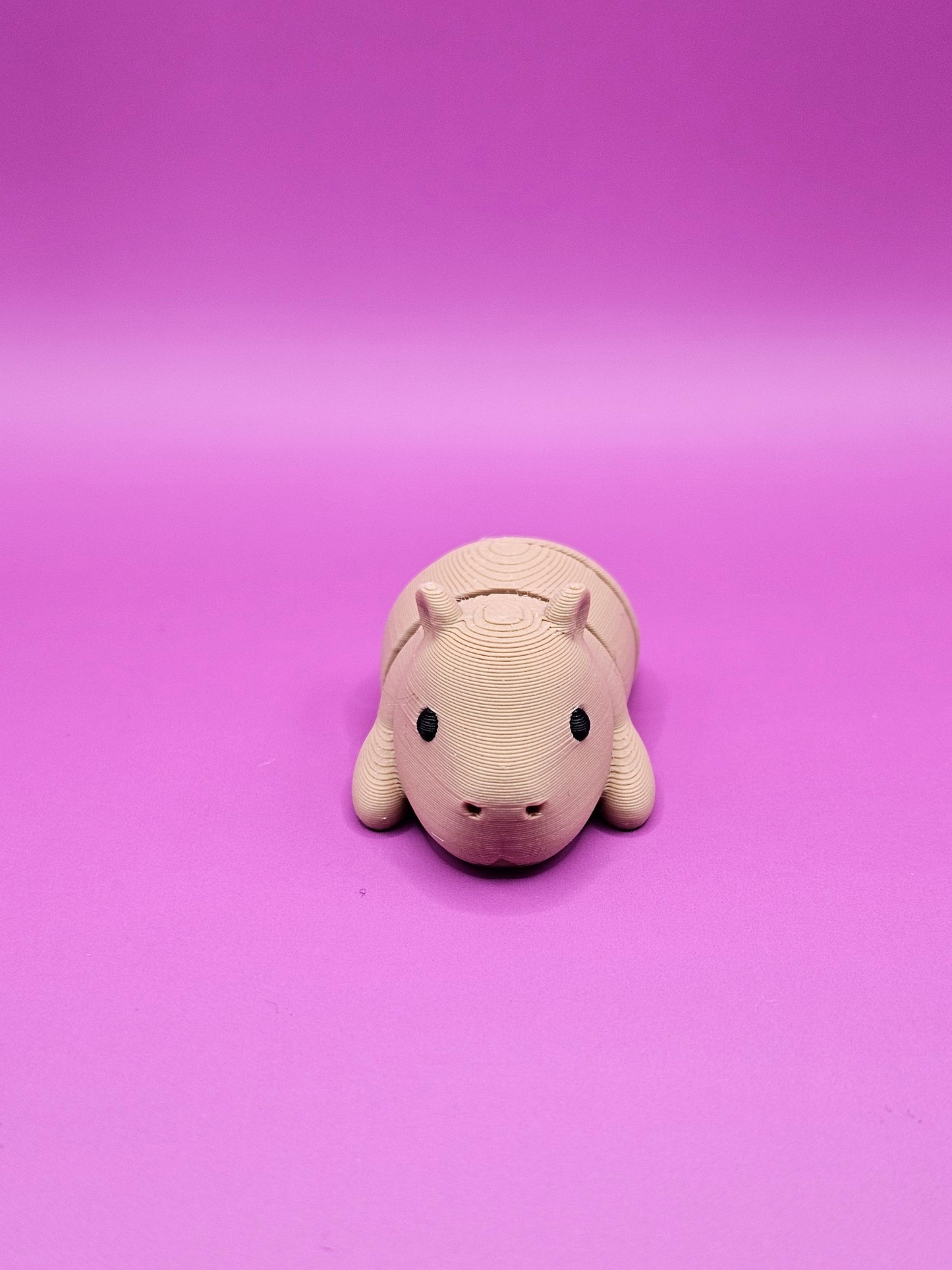 Mini Capybara Fidget