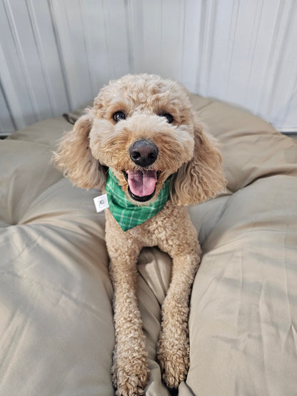 Green Plaid Scrunchie Pet Bandana