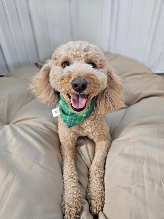 Green Plaid Scrunchie Pet Bandana
