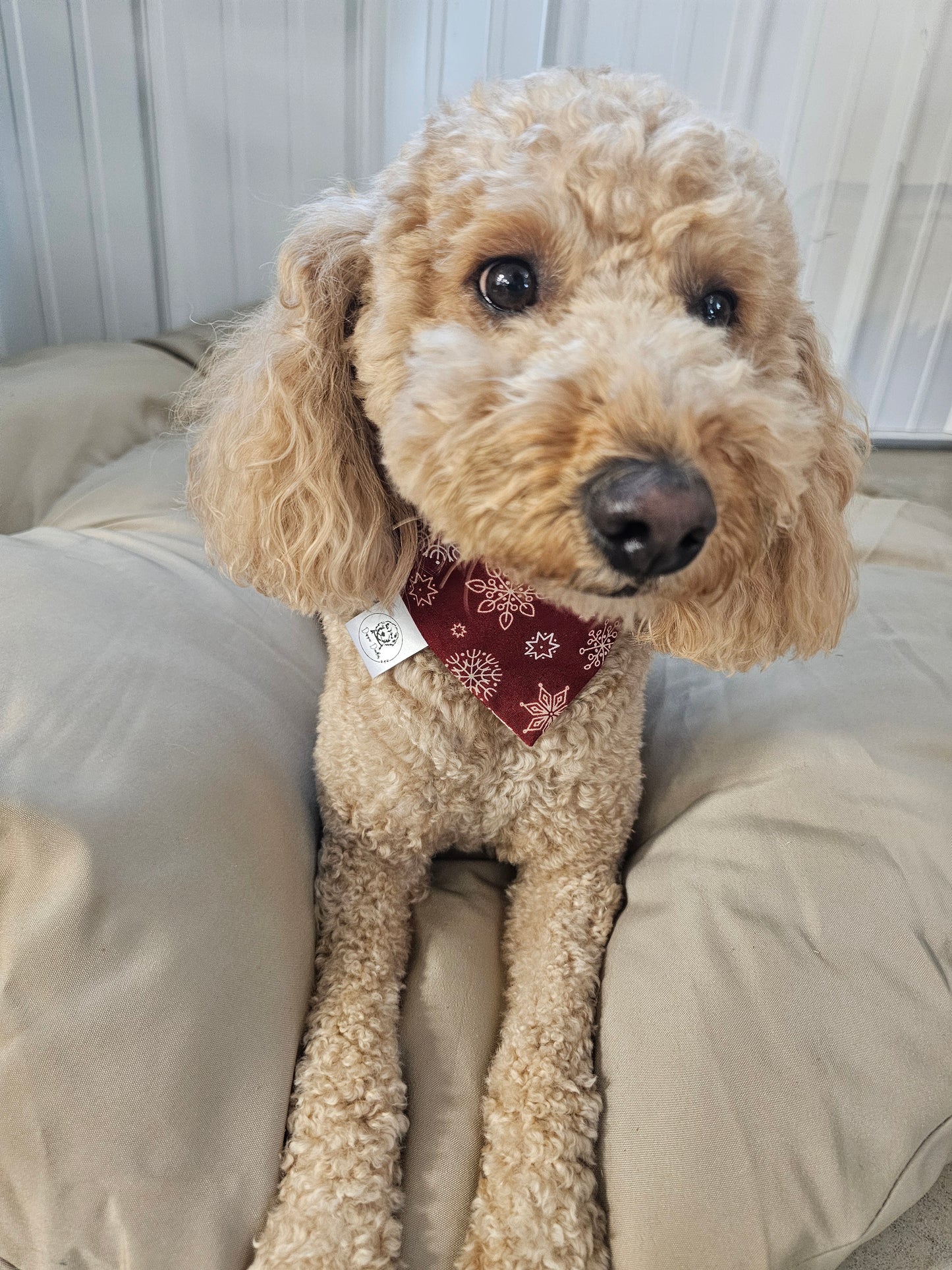 Merry Snowflake Scrunchie Pet Bandana