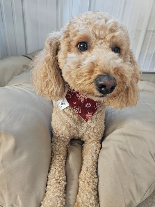 Merry Snowflake Scrunchie Pet Bandana