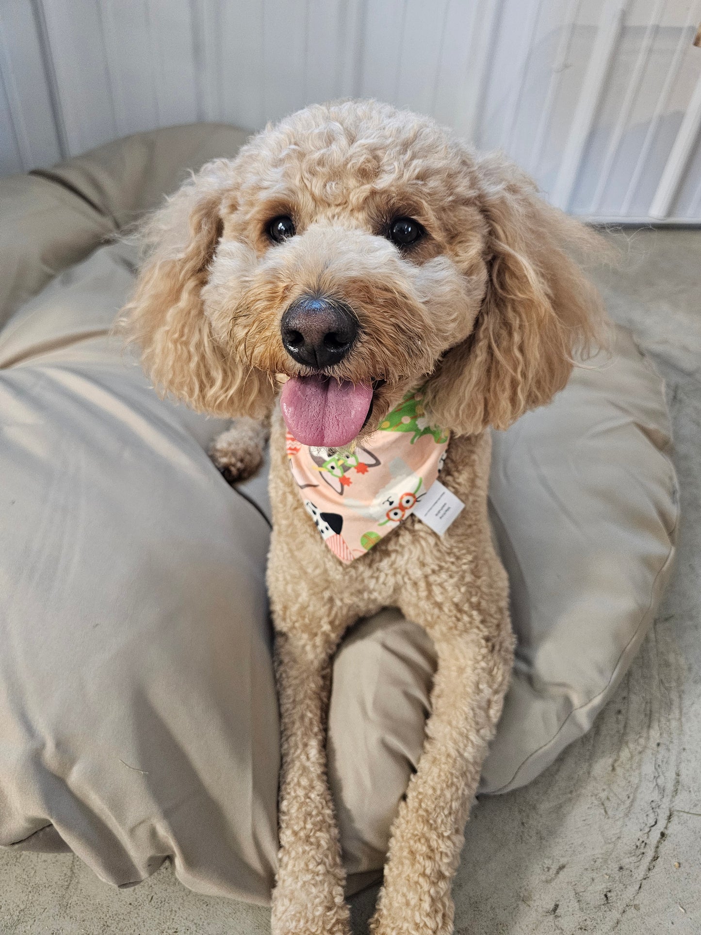 Holiday Doggies Scrunchie Pet Bandana