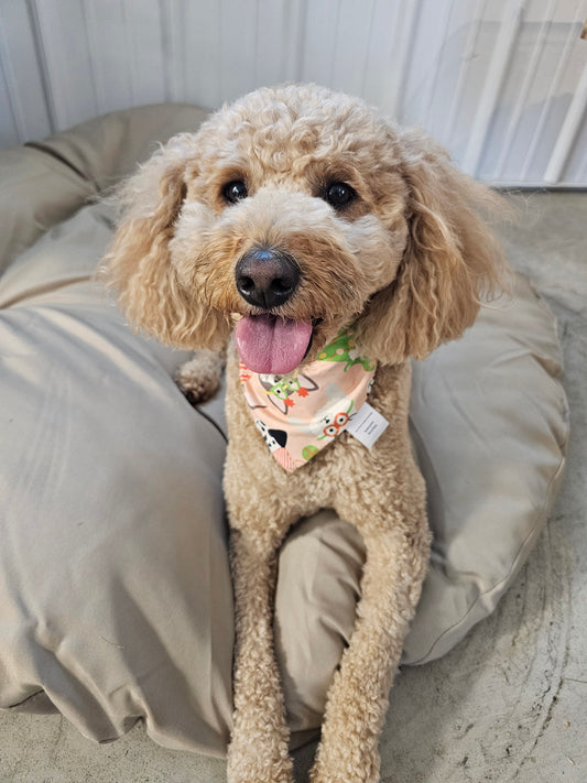 Holiday Doggies Scrunchie Pet Bandana