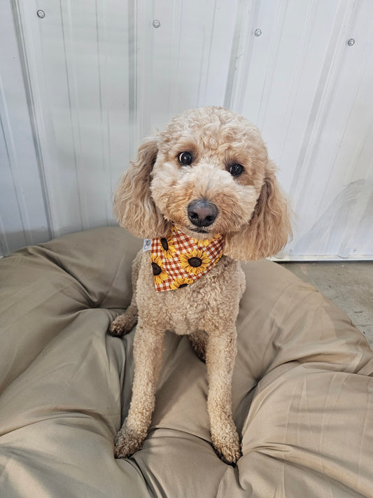 Sunflower Scrunchie Pet Bandana